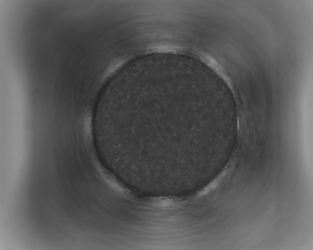 X0000111420249200908031310