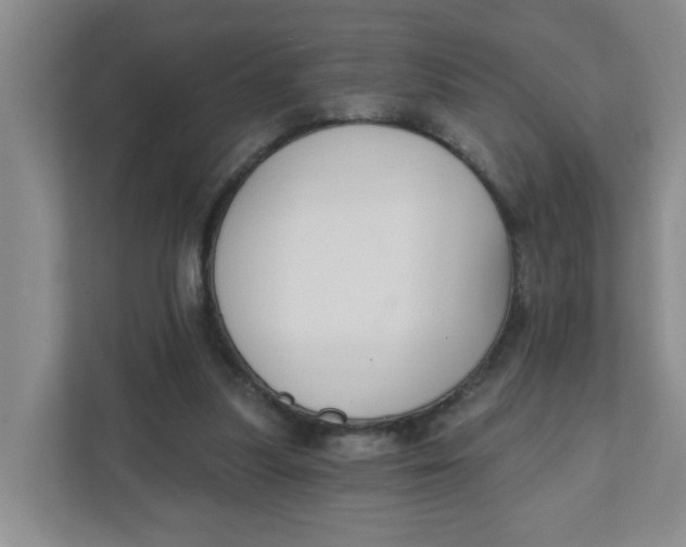 X0000111420251200908031310