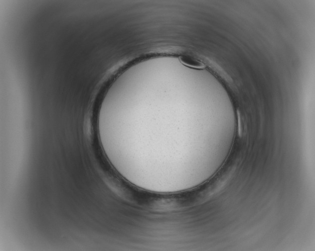 X0000111420252200908031310