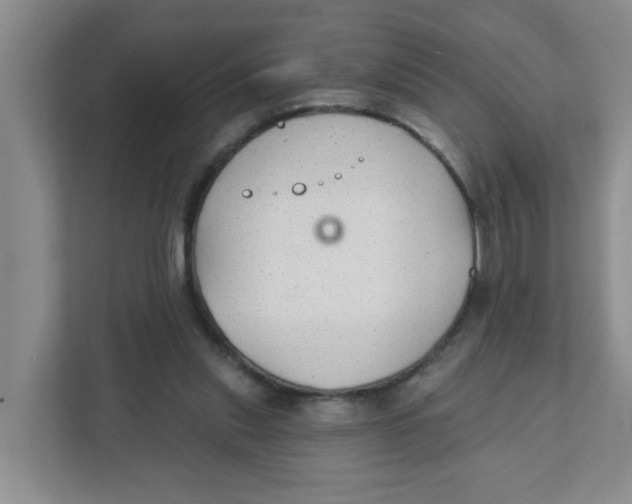 X0000111420253200908031310