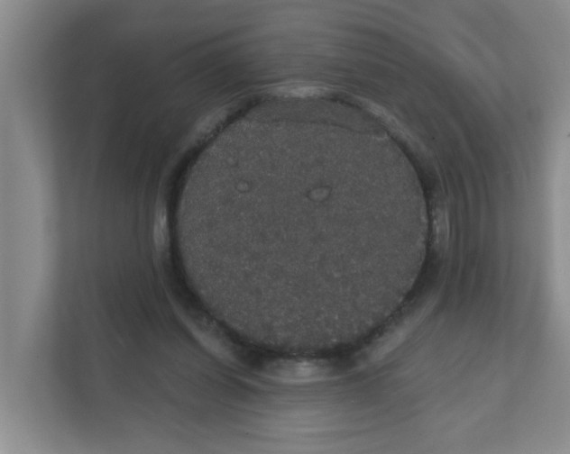 X0000111420254200908031310