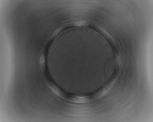 X0000111420260200908031311