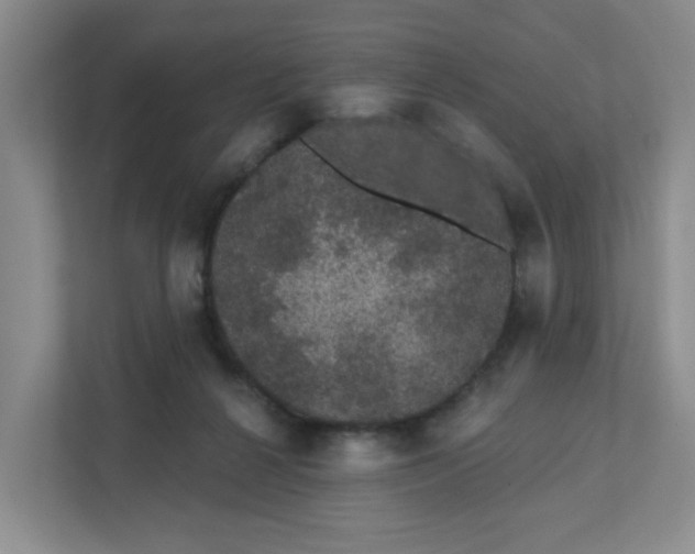 X0000111420264200908031311