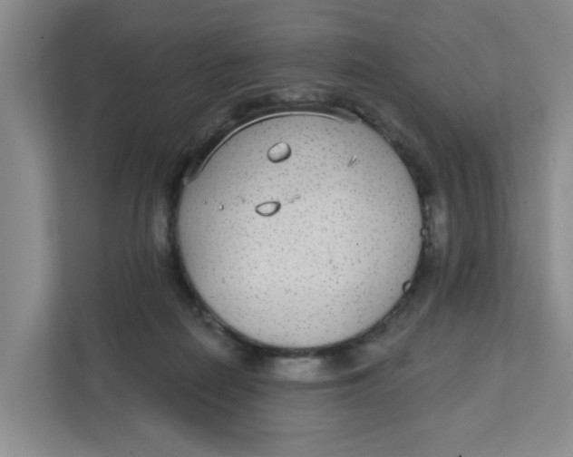 X0000111420266200908031311