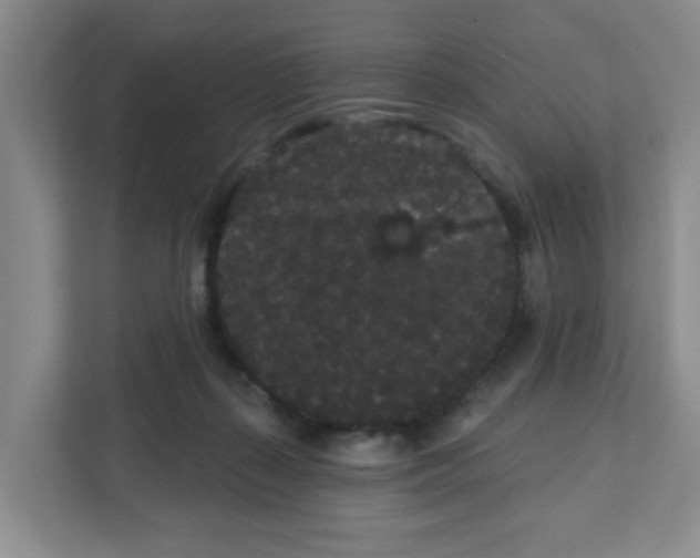 X0000111420267200908031311
