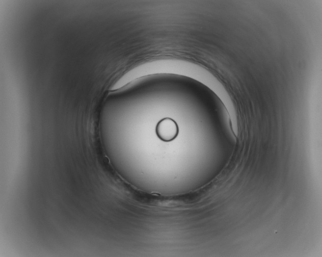 X0000111420268200908031311