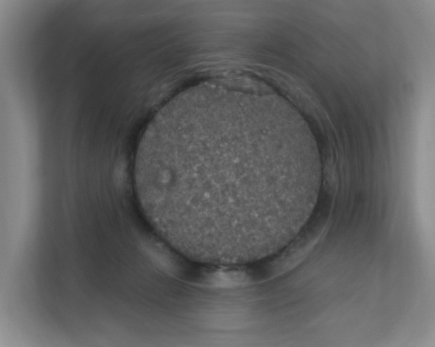 X0000111420270200908031311