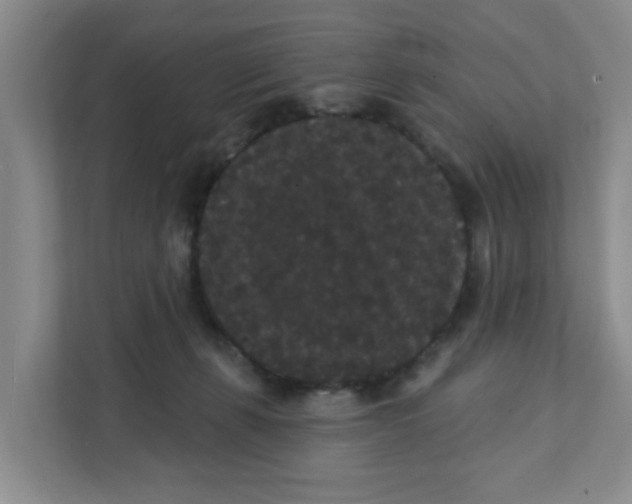 X0000111420271200908031311