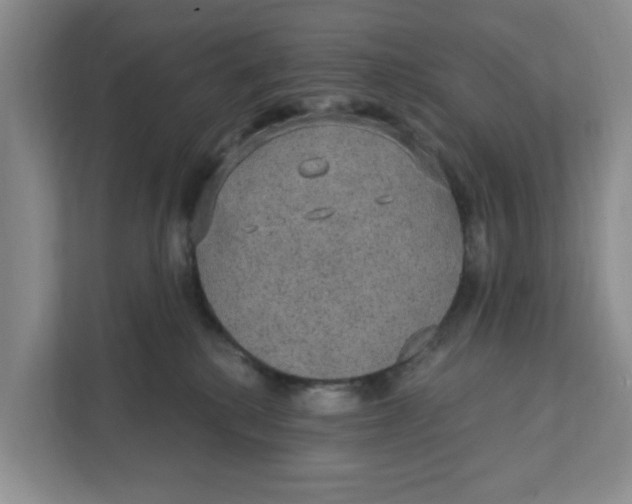 X0000111420280200908031311
