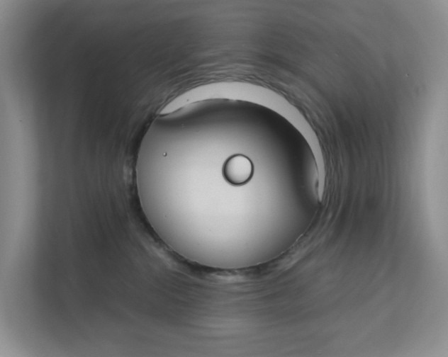 X0000111420284200908031311