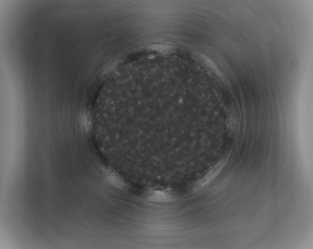 X0000111420285200908031311