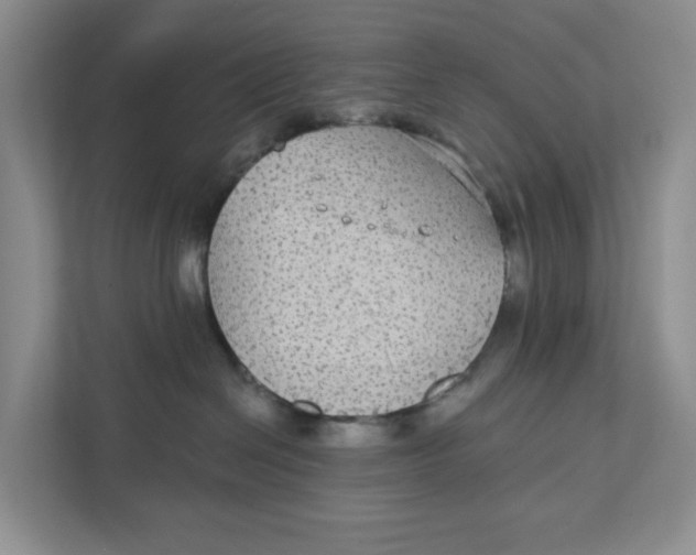 X0000111420286200908031311