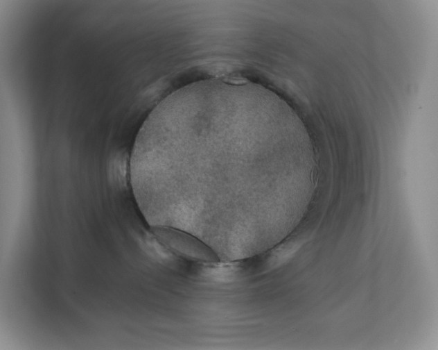 X0000111420288200908031311