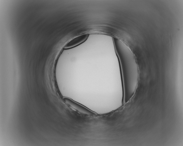 X0000111420289200908031310