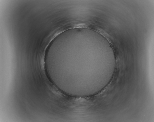 X0000111420290200908031310