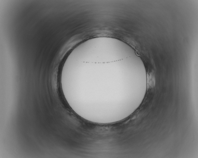 X0000111420291200908031310