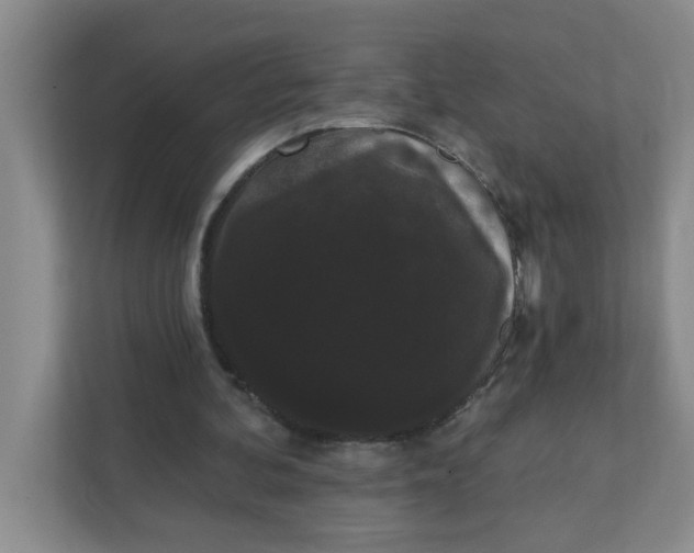 X0000111420292200908031310