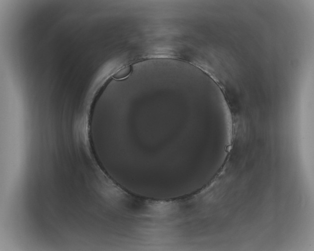 X0000111420293200908031310
