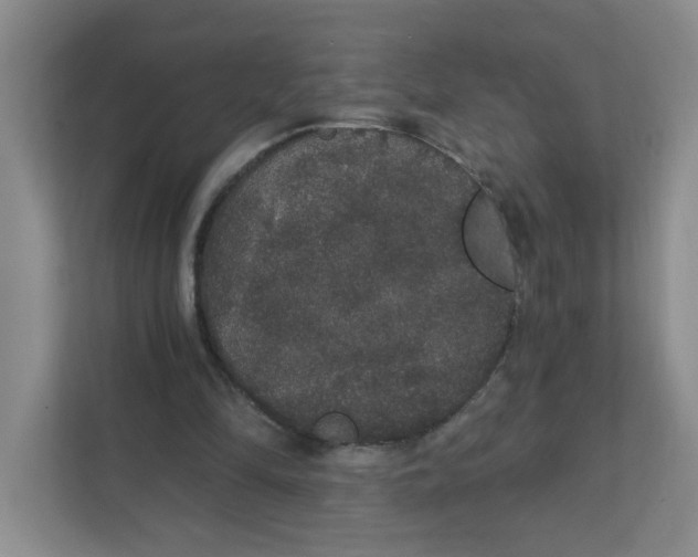 X0000111420294200908031310