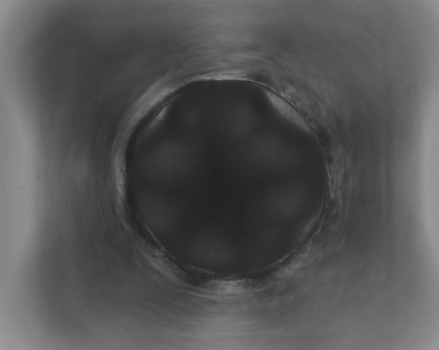 X0000111420295200908031310