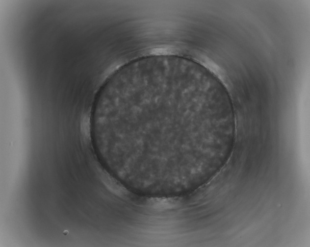 X0000111420297200908031310