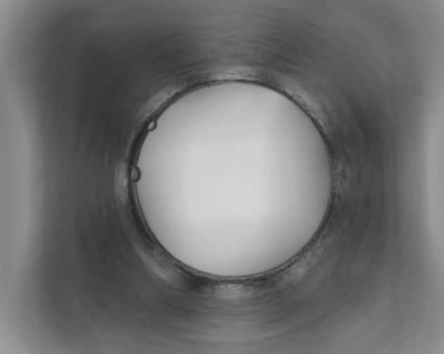 X0000111420298200908031310