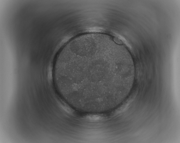 X0000111420299200908031310