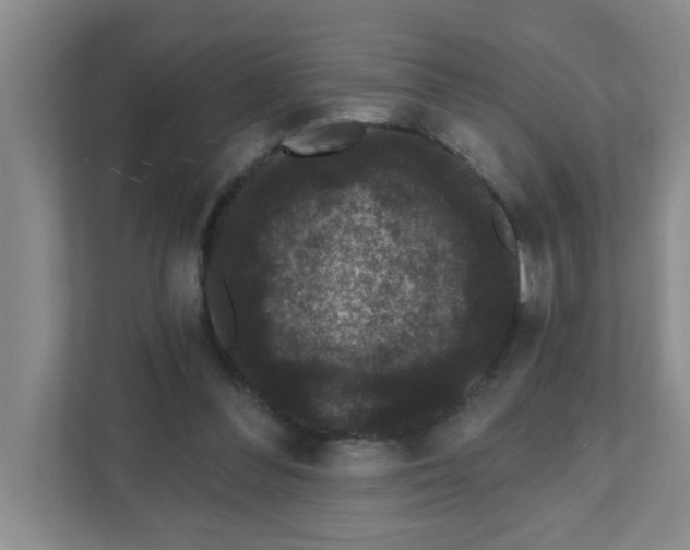 X0000111420300200908031310