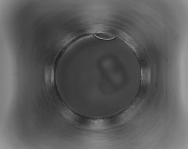 X0000111420301200908031310