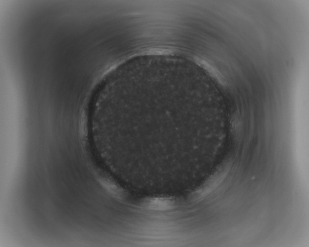 X0000111420303200908031310