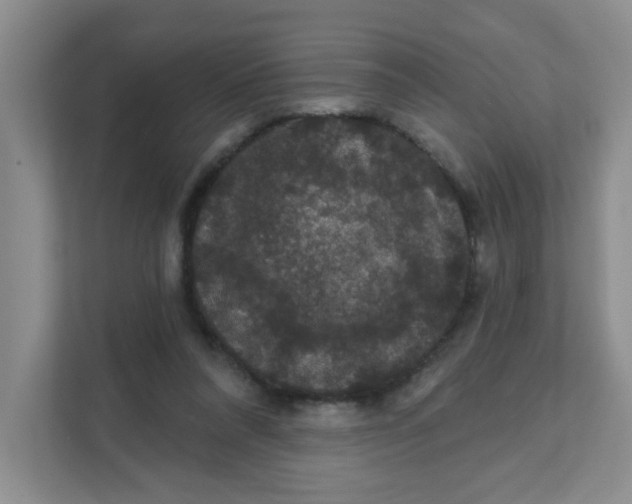 X0000111420304200908031310