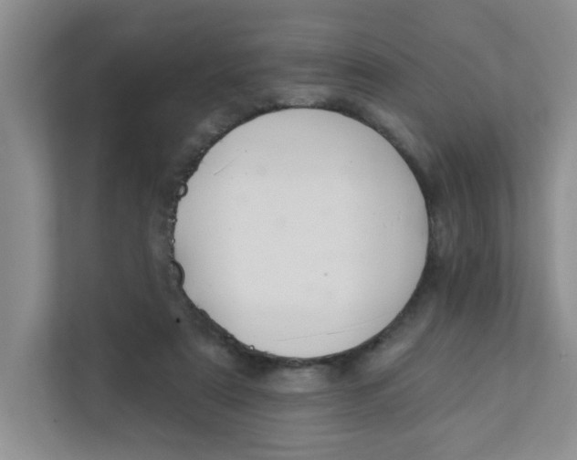 X0000111420307200908031310