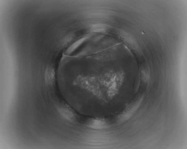 X0000111420308200908031310