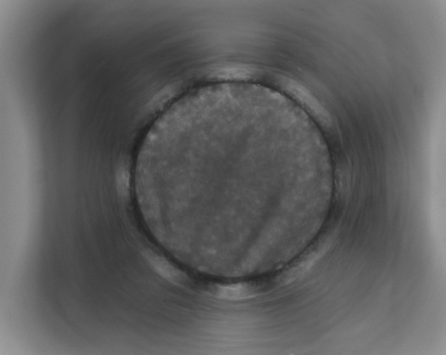 X0000111420309200908031310