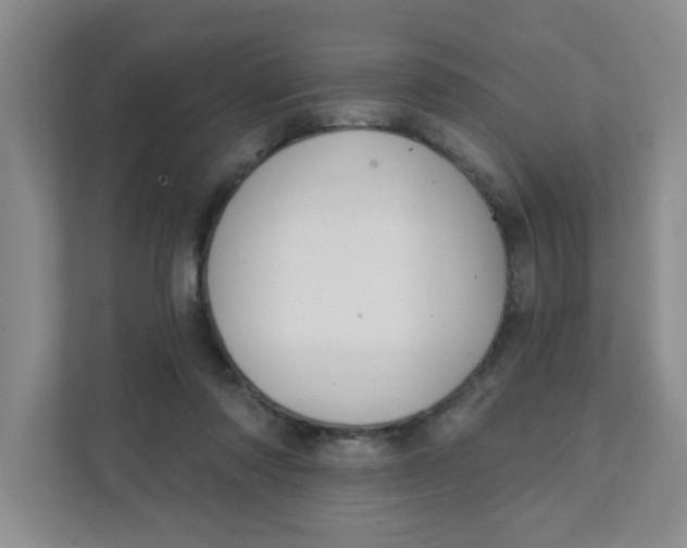 X0000111420310200908031310