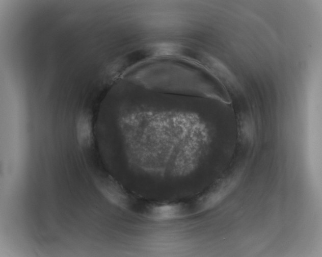 X0000111420312200908031310
