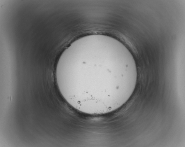 X0000111420313200908031310