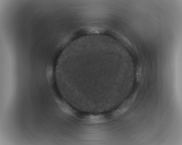 X0000111420314200908031310