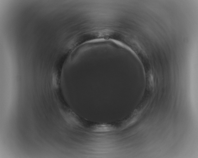 X0000111420316200908031310