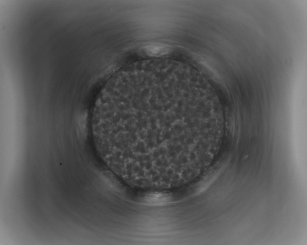 X0000111420319200908031310