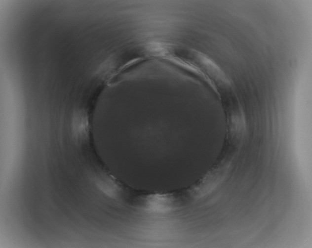 X0000111420320200908031310