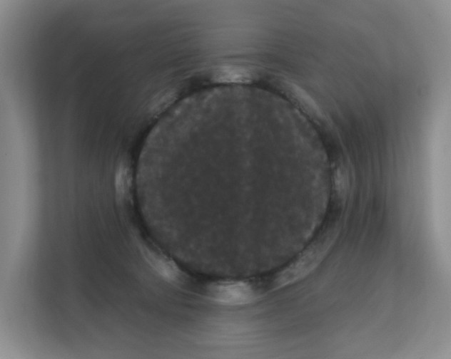 X0000111420322200908031310