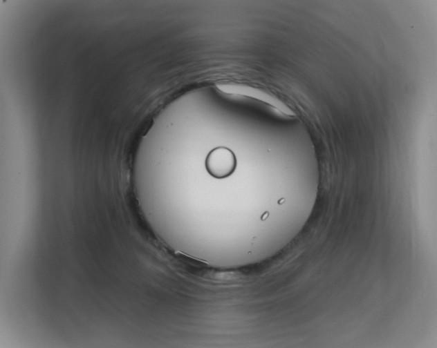 X0000111420324200908031310