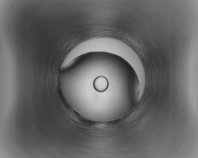 X0000111420325200908031310