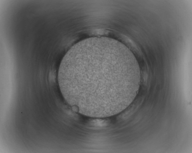 X0000111420326200908031310