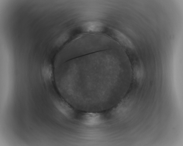 X0000111420328200908031310