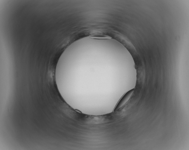 X0000111420329200908031310