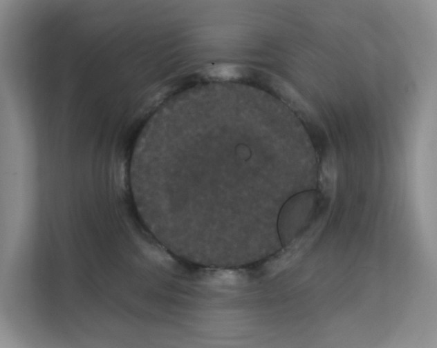 X0000111420330200908031310
