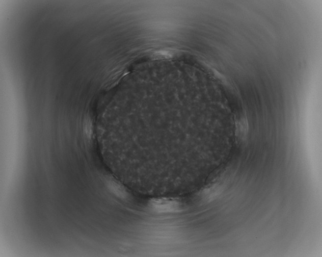 X0000111420331200908031310