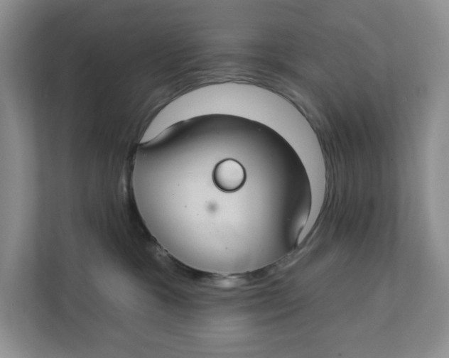 X0000111420333200908031310